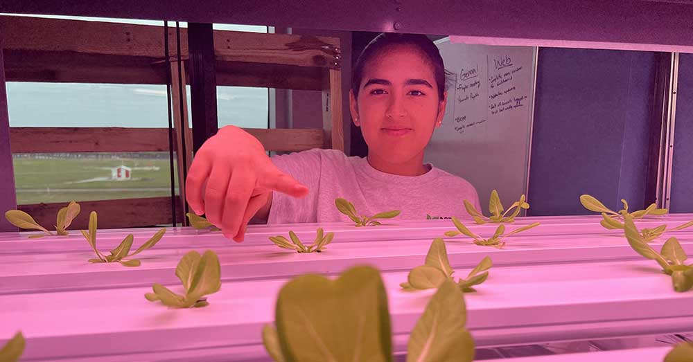 Emma Costa looks at plants in hydroponic lab