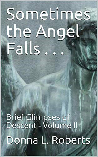 Cover of "Sometimes the Angel Falls..." by Donnar Roberts