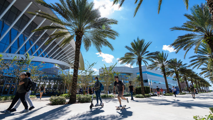 Students walk past palm trees on the Daytona Beach campus